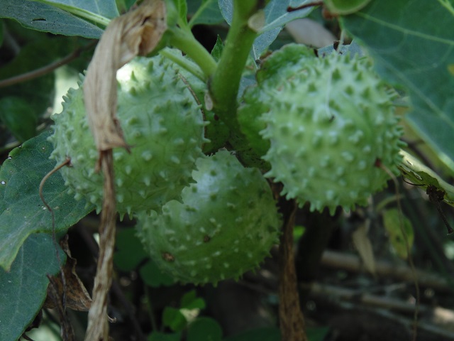 17/05/2012 - 12:40পূর্বাহ্ন