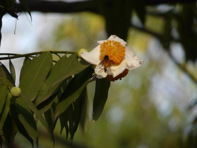 08/24/2007 - 2:03পূর্বাহ্ন