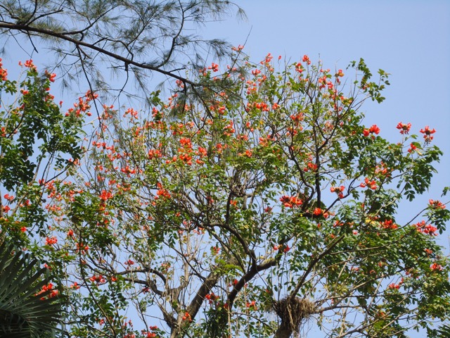 08/24/2007 - 2:03পূর্বাহ্ন